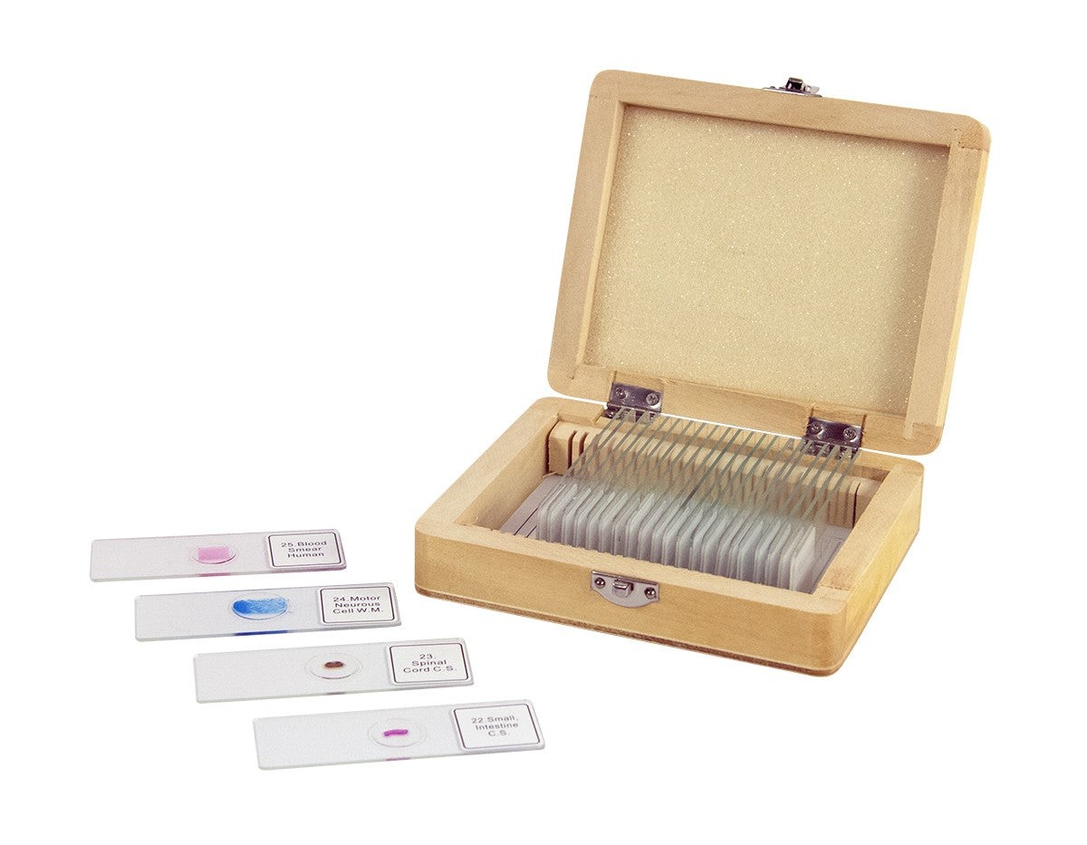 Celestron 25 Piece Prepared Microscope Slide Kit