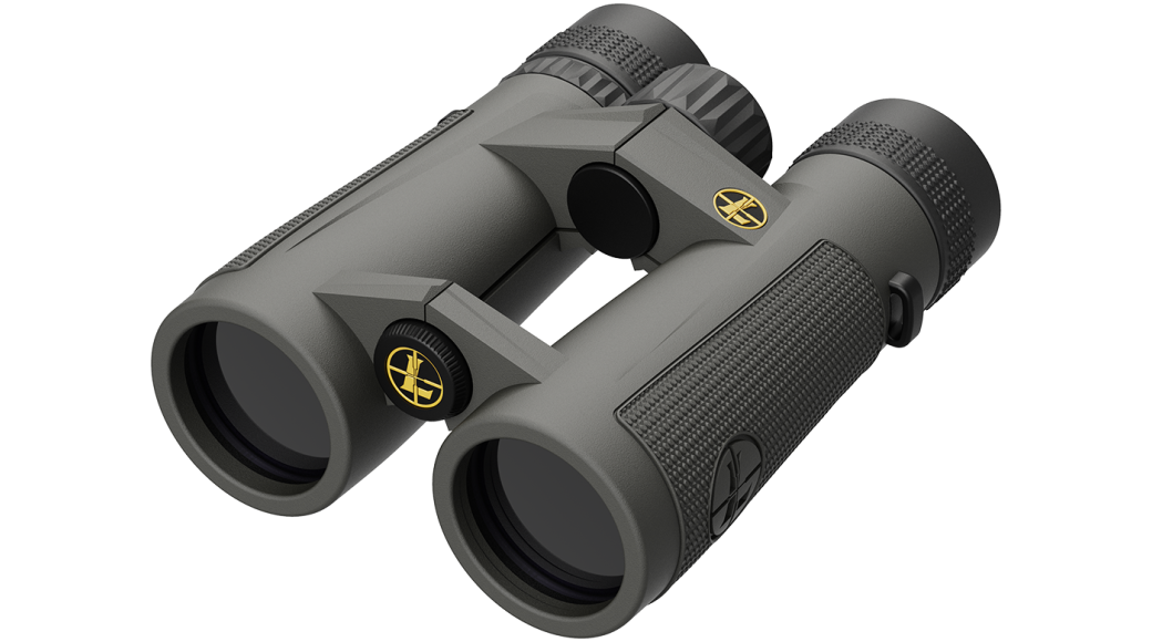 Leupold BX-5 Santiam HD 10x42 Shadow Grey Binoculars