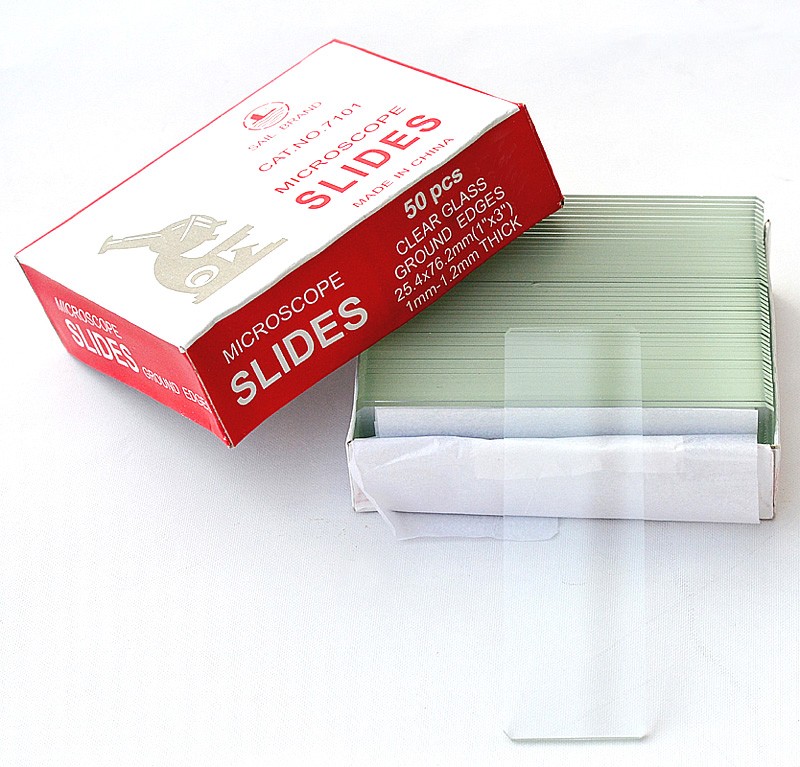 10 Bulk Pack of 50 Piece Blank Microscope Slides (500 Slides in Total)