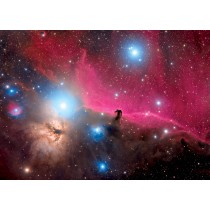 Astrovisuals Postcard - Horsehead Nebula