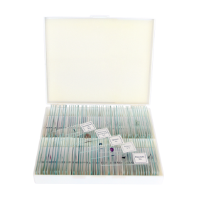 saxon Prepared Biological Microscope Slides (100pc)