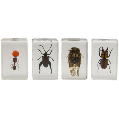 Celestron 3D Bug Specimen Kit No 3