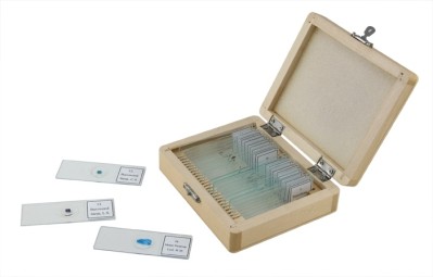 Celestron Prepared Slides Box of 25