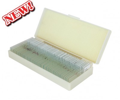 saxon Prepared Plants Biological Microscope Slides (50pc)