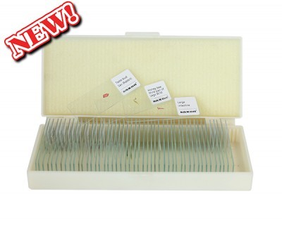 saxon Prepared Animal Biological Microscope Slides (50pc)