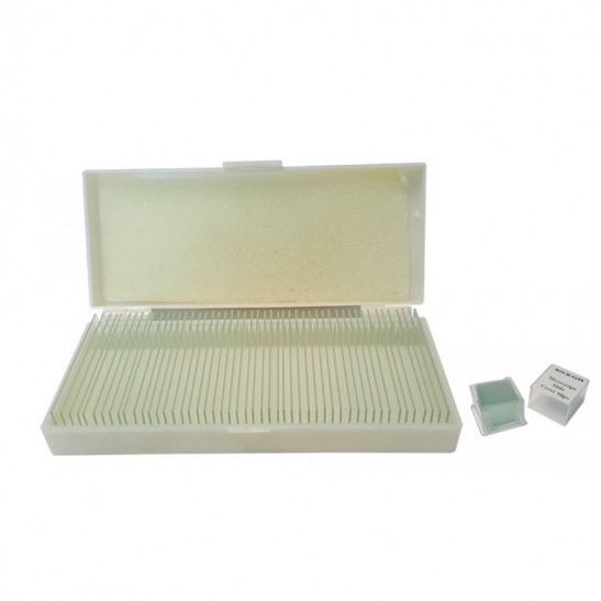 saxon 50pcs Pre-Cleaned Blank Slides Kit