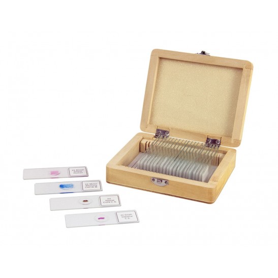 Celestron 25 Piece Prepared Microscope Slide Kit