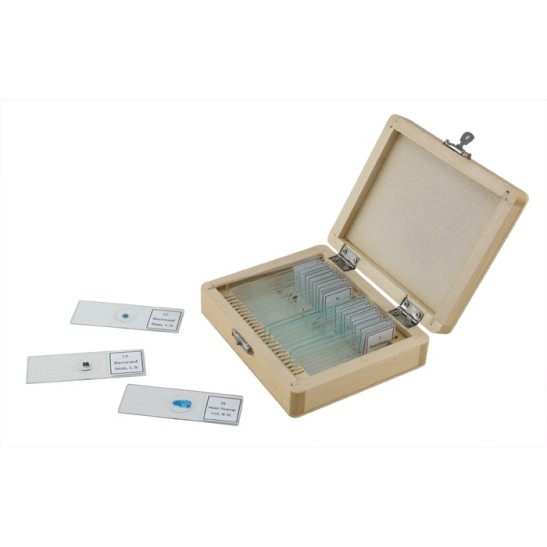 Celestron Prepared Slides Box of 25
