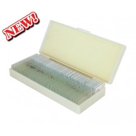 saxon Prepared Plants Biological Microscope Slides (50pc)