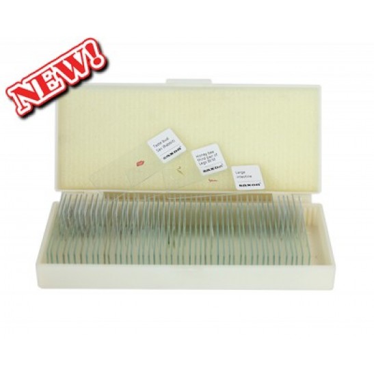 saxon Prepared Animal Biological Microscope Slides (50pc)