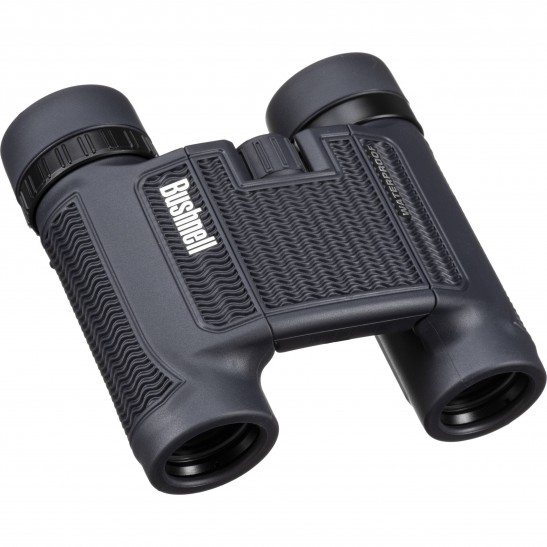 Bushnell H2O 10x25 Dark Blue Binoculars