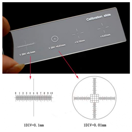 0.01mm Microscope Calibration Slide