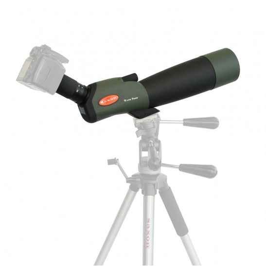 saxon 20-60x80 ED Spotting Scope