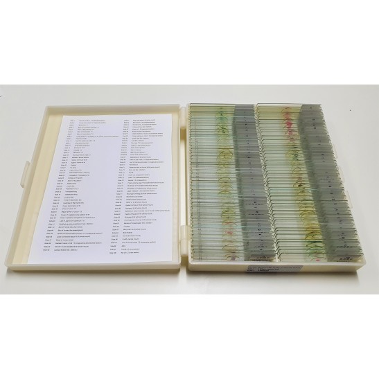 Sirius Optics 100 Piece Prepared Biological Slides - Plant & Animal Specimens