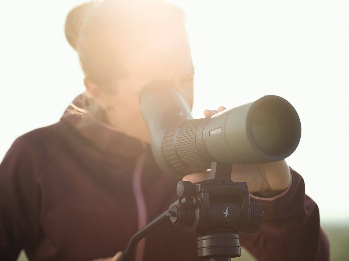 Observer using a Swarovski straight spotting scope on a tripod head