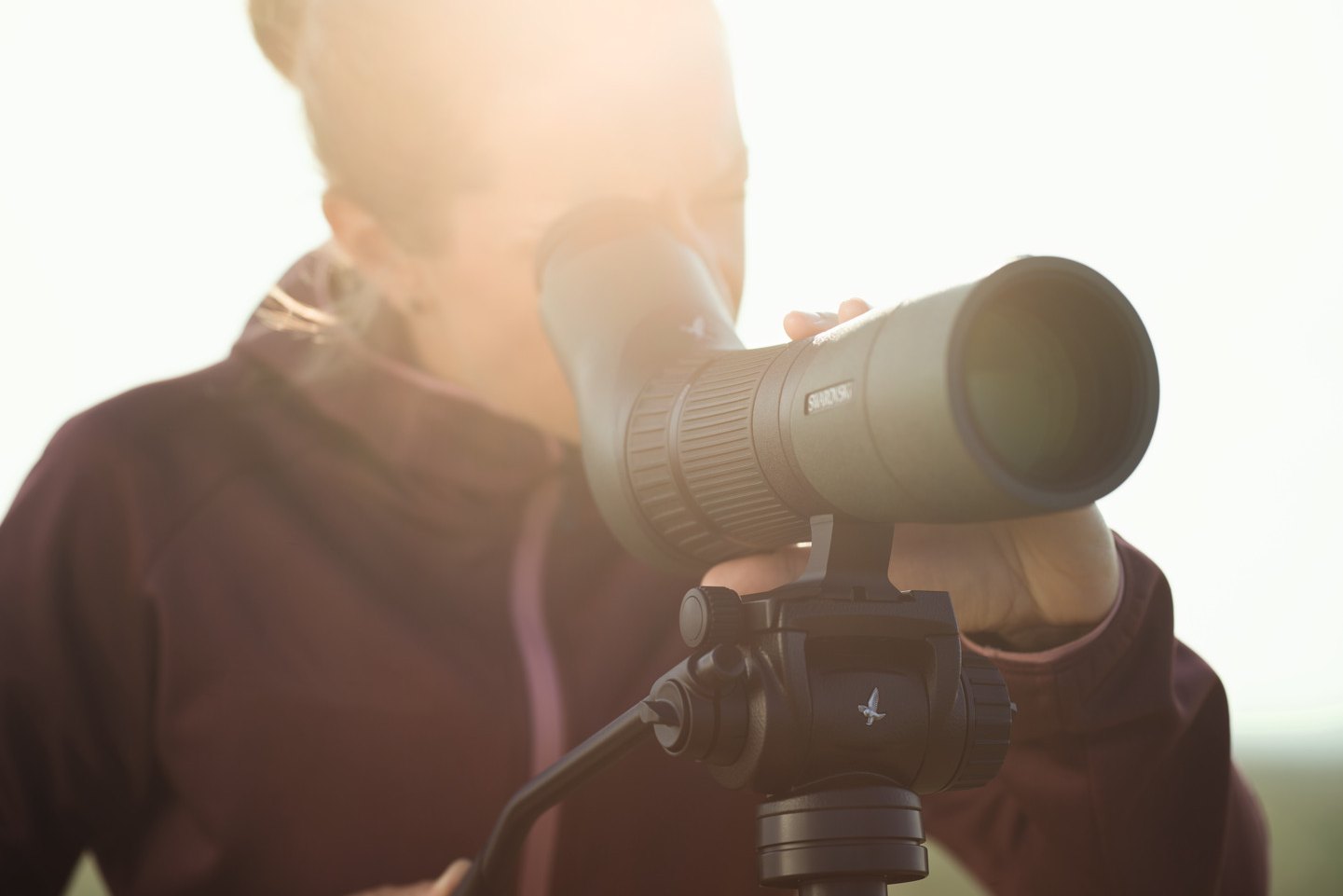 Observer using a Swarovski STX straight spotting scope on a tripod